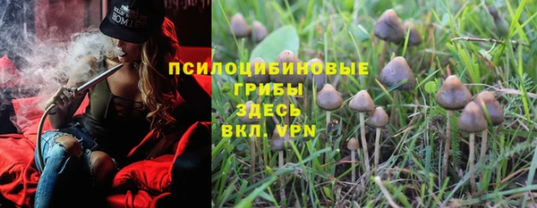 мескалин Алексин