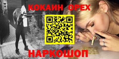 Альфа ПВП Малгобек