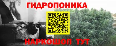 индика Мариинск