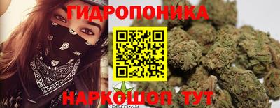 эйфоретик Можга