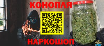 индика Мариинск