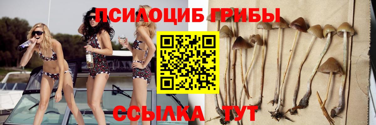 Воткинск  Галлюциногенные грибы мицелий  Вход с VPN 